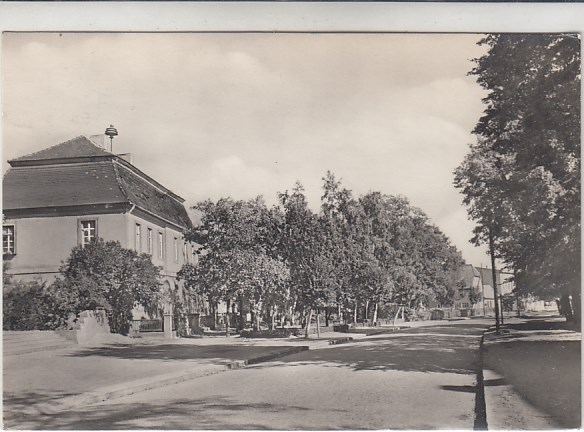 Sternberg Neumark 1928