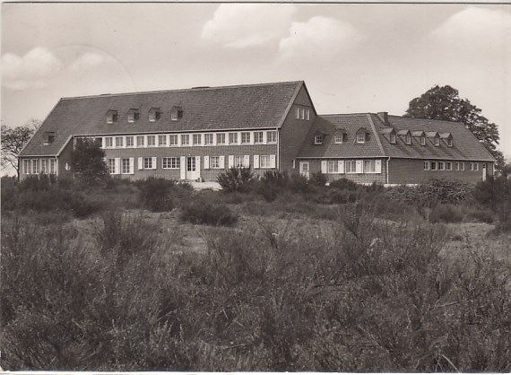 Zons am Rhein Windm�hle ca 1915