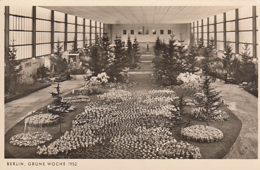 Berlin Charlottenburg Grüne Woche 1952