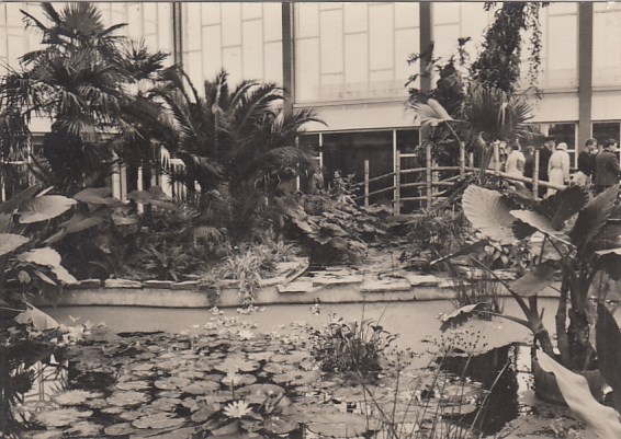 Berlin Friedrichsfelde Tierpark Tiere Alfred-Brehm-Haus 1964