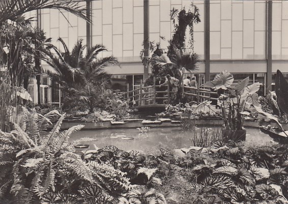 Berlin Friedrichsfelde Tierpark Tiere Alfred-Brehm-Haus 1964