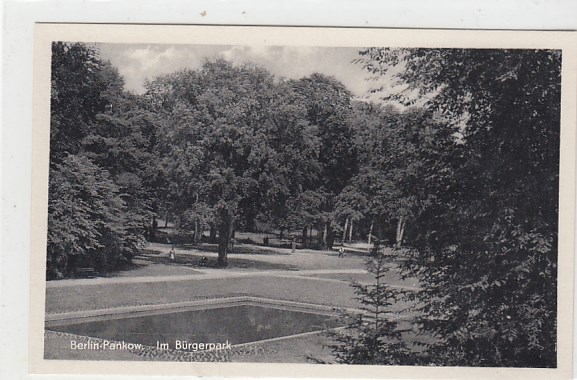 Berlin Pankow Bürgerpark 1962