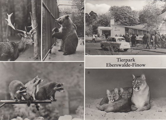 Eberswalde Finow Tierpark