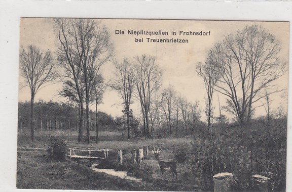 Frohnsdorf bei Treuenbrietzen Nieplitzquelle 1916