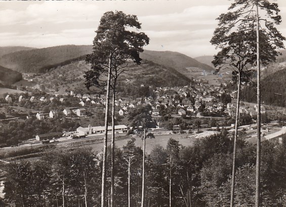 Bahnhof Schönau bei Heidelberg 1963