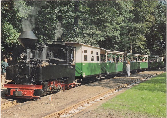 Kleinbahn Schmalspurbahn Muskauer Waldeisenbahn Bahnhof Bad Muskau