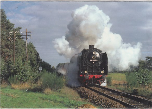 Eisenbahn Dampflokomotive bei Neuhausen