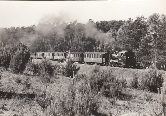 Eisenbahn Dampflokomotive Kleinbahn Rügen zwi. Garftitz und Sellin