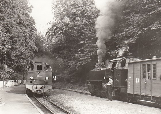 Eisenbahn Dampflokomotive Kleinbahn Rügen Bahnhof Heiligendamm