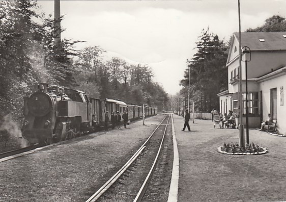 Eisenbahn Dampflokomotive Kleinbahn Rügen Bahnhof Heiligendamm