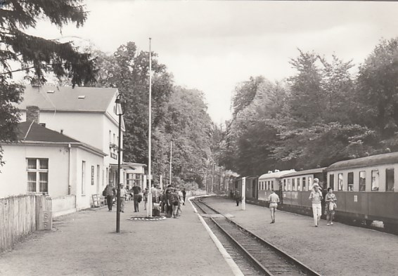 Eisenbahn Dampflokomotive Kleinbahn Rügen Bahnhof Heiligendamm