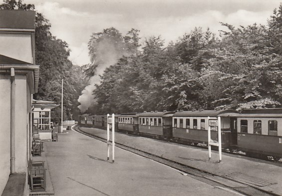 Eisenbahn Dampflokomotive Kleinbahn Rügen Bahnhof Heiligendamm