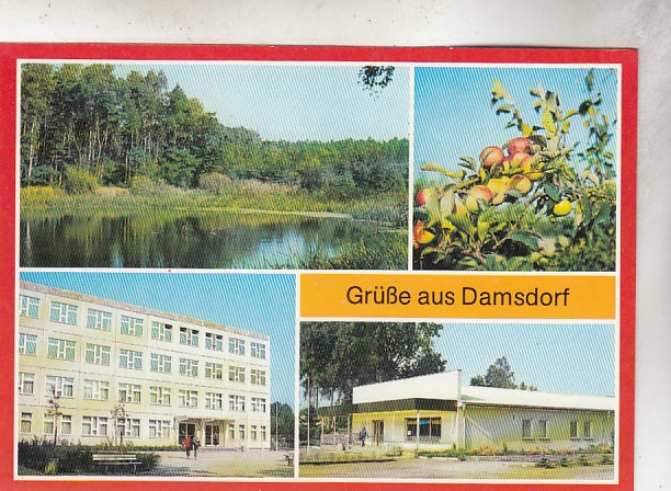 Damsdorf 1989