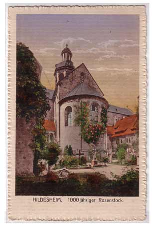 Hildesheim 1000 jähriger Rosengarten 1917 Hildesheim 1000 jähriger Rosengarten 1917