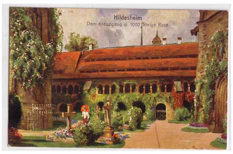 Hildesheim Dom Kreuzgang Hildesheim Dom Kreuzgang