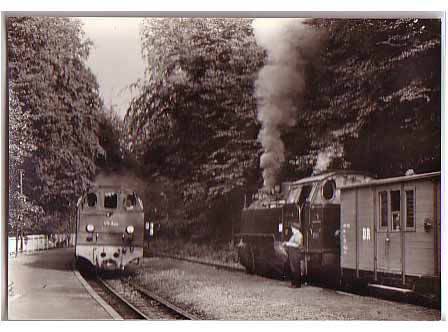 Heiligendamm , Bahnhof, Eisenbahn Heiligendamm , Bahnhof, Eisenbahn