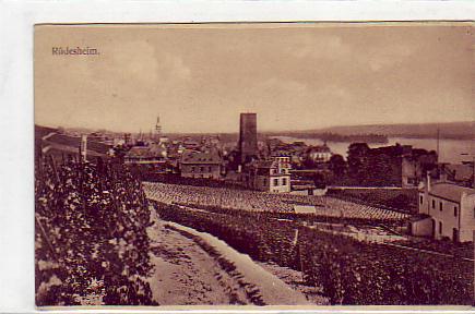 Rüdesheim im Rheingau , Wein ca 1915 Rüdesheim im Rheingau , Wein ca 1915