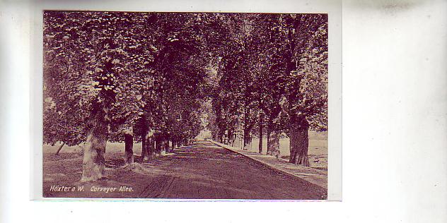 Höxter an der Weser Corveyer Allee 1908 Höxter an der Weser Corveyer Allee 1908