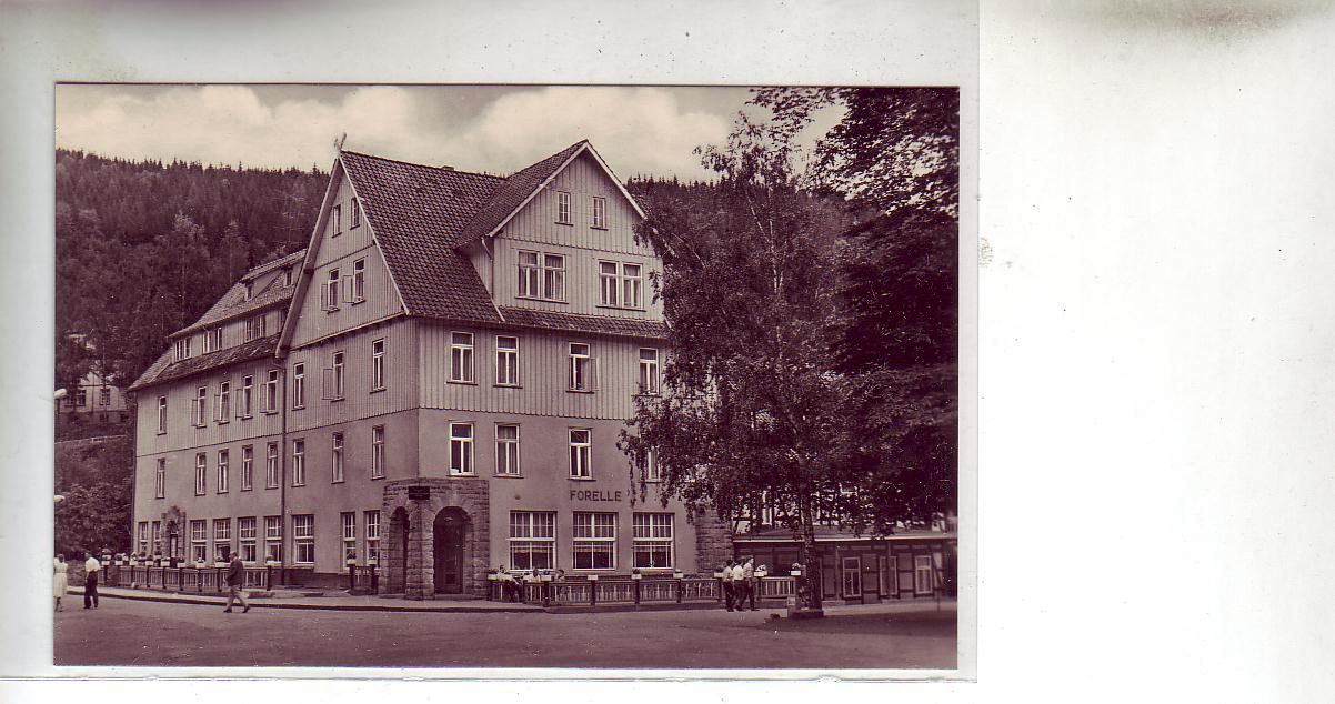 Treseburg im Harz Heim Forelle ca 1965 Treseburg im Harz Heim Forelle ca 1965
