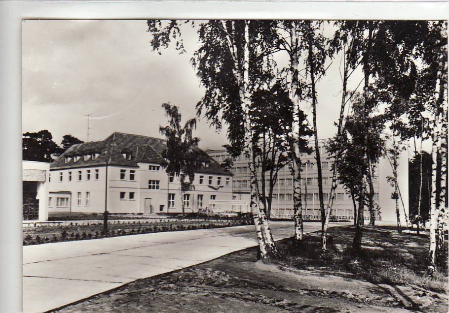 Bad Arendsee in der Altmark Waldheim ca 1980 Bad Arendsee in der Altmark Waldheim ca 1980
