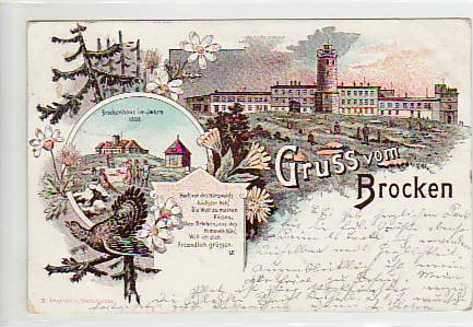 Brocken Harz Litho mit Blumen und Vogel 1899 Brocken Harz Litho mit Blumen und Vogel 1899