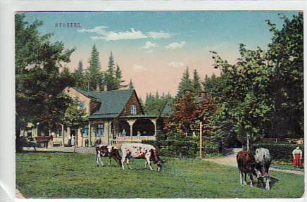 Heuberg Gasthaus und Tiere ca 1915 Heuberg Gasthaus und Tiere ca 1915