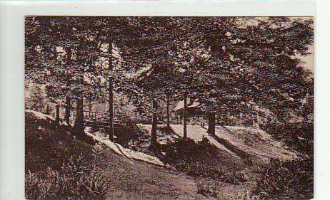 Chemnitz Küchwald ca 1915 Chemnitz Küchwald ca 1915