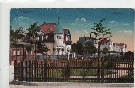 Burgstädt in Sachsen Liadenstrasse 1921 Burgstädt in Sachsen Liadenstrasse 1921