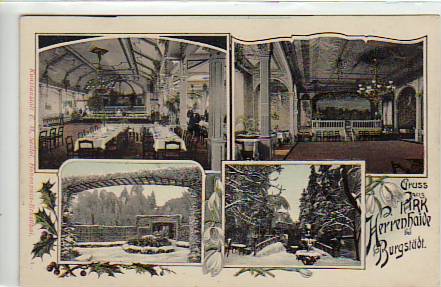 Burgstädt in Sachsen Park Herrenhaide 1910 Burgstädt in Sachsen Park Herrenhaide 1910