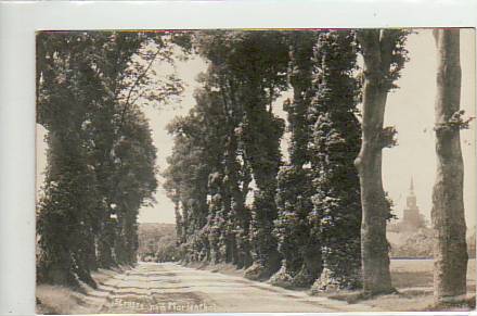 Foto Karte Straße nach Marienthal bei Zehdenick ca 1925