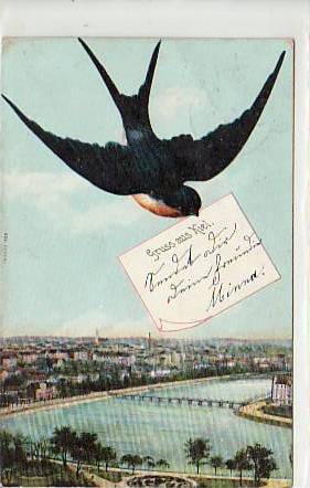 Kiel viele Grüße 1909 Kiel viele Grüße 1909