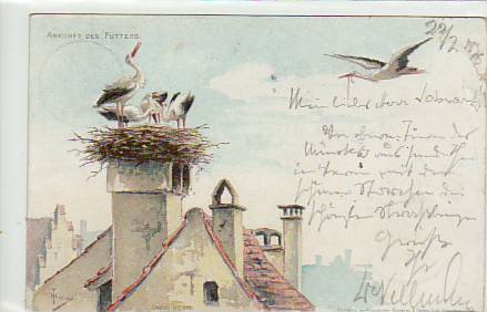 Strasbourg-Strassburg Storch,Störche 1 Strasbourg-Strassburg Storch,Störche 1