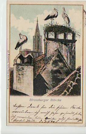 Strasbourg-Strassburg Storch,Störche 1900 Strasbourg-Strassburg Storch,Störche 1900