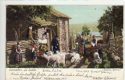 Schweden La Suede Schafe Dalarne Rättvik Trachten 1902 Schweden La Suede Schafe Dalarne Rättvik Trachten 1902