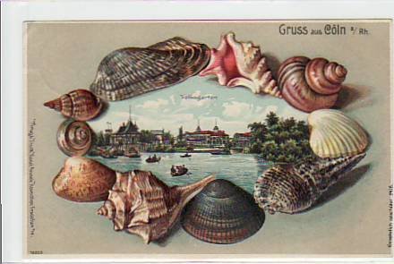 Köln am Rhein Prägekarte mit Muscheln 1906 Köln am Rhein Prägekarte mit Muscheln 1906