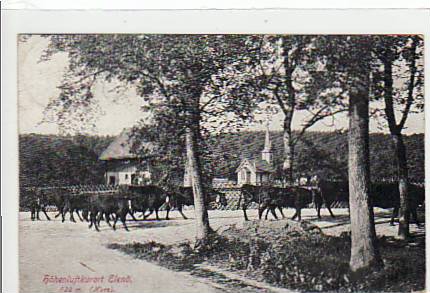 Elend im Harz Kuhherde 1921 Elend im Harz Kuhherde 1921