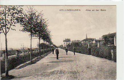 Kellinghusen Allee ab der Eisenbahn-Line 1910 Kellinghusen Allee ab der Eisenbahn-Line 1910