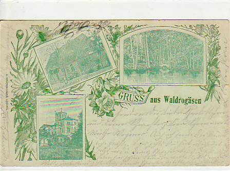 Waldrogäsen Burg im Jerichower Land 1906 Waldrogäsen Burg im Jerichower Land 1906
