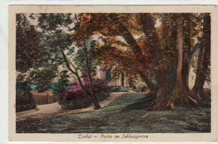 Zerbst Baum im Schlossgarten 1917 Zerbst Baum im Schlossgarten 1917