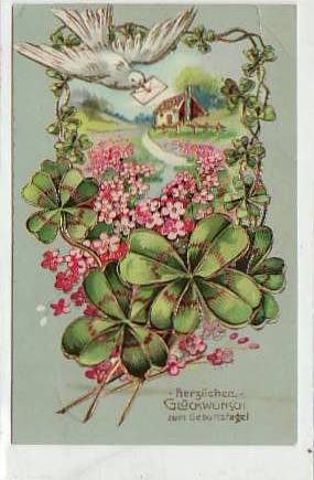 Glückwunsch zum Geburtstag Blumen Taube 1910 Glückwunsch zum Geburtstag Blumen Taube 1910