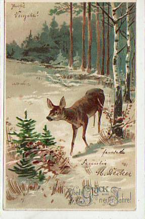 Glückwunsch Neujahr Reh-Wild 1903 Glückwunsch Neujahr Reh-Wild 1903