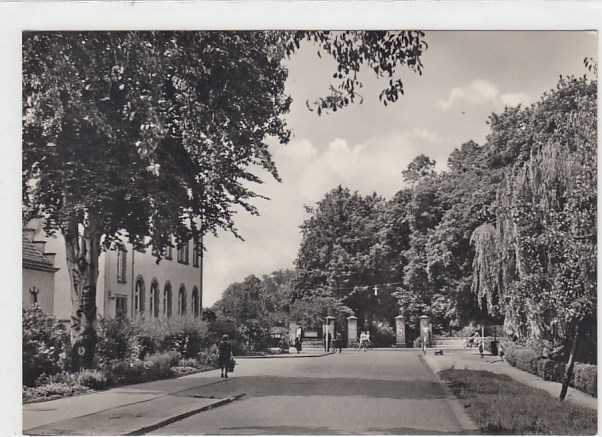 Zerbst Puschkinpromenade 1967 Zerbst Puschkinpromenade 1967