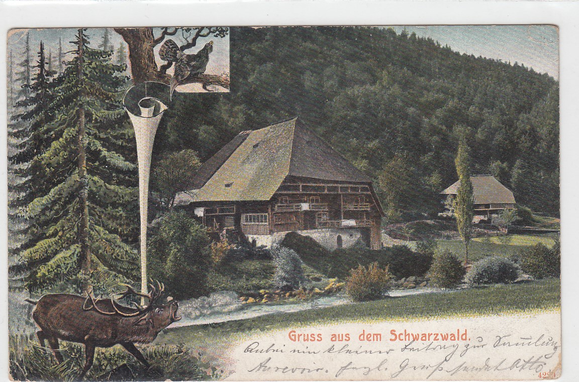 Schwarzwaldhaus z.B. Zell am See ca 1903 Schwarzwaldhaus z.B. Zell am See ca 1903