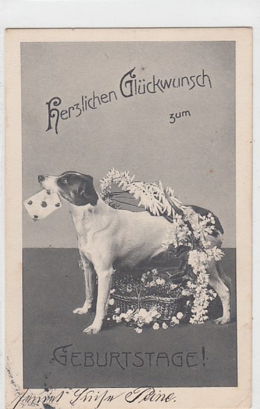 Glückwunsch zum Geburtstag Hunde 1908 Glückwunsch zum Geburtstag Hunde 1908