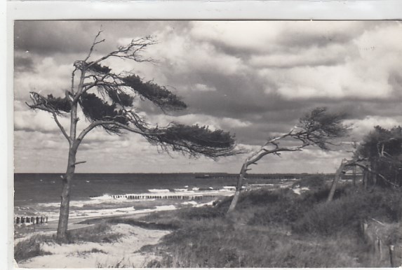 Ostseebad Graal-Müritz 1966 Ostseebad Graal-Müritz 1966