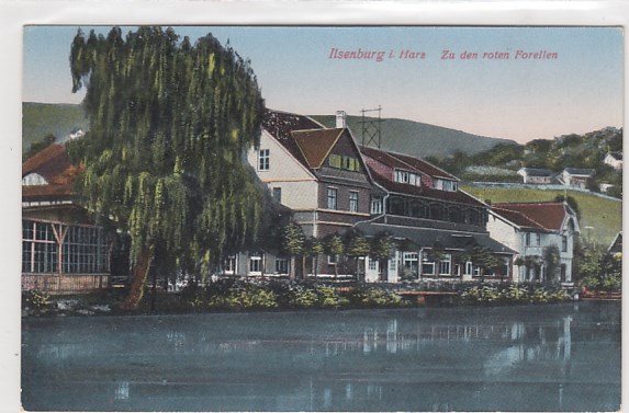 Ilsenburg im Harz 1925