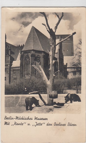 alte Ansichtskarten Bilder Tiere Bären Berlin Mitte