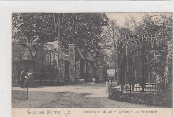 Münster in Westfalen Zoologischer Garten Wolfspark und Bärenzwinger 1905