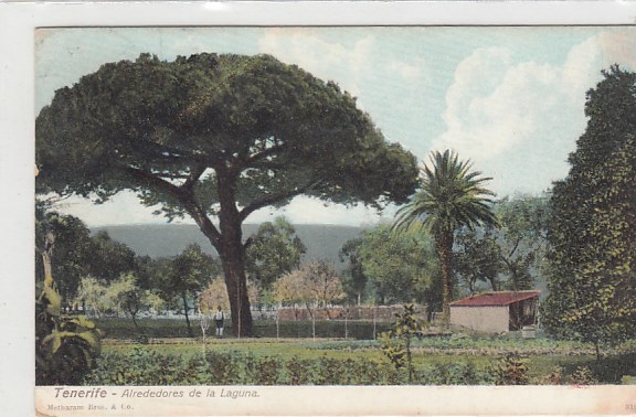 Tenerife Teneriffa Spanien 1910