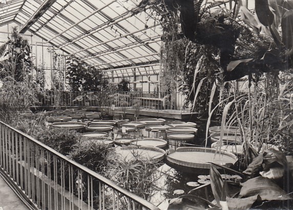 Jena Thüringen Botanischer Garten 1976